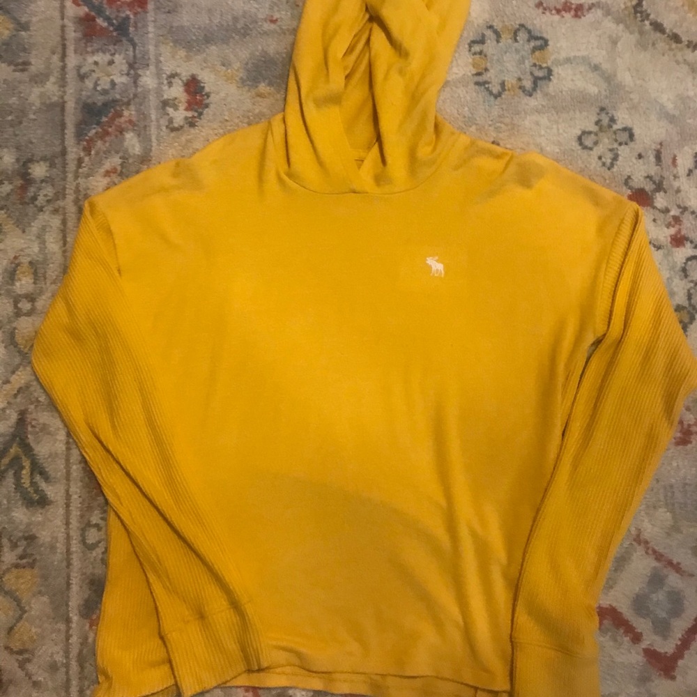 Abercrombie kids lightweight logo hoodie